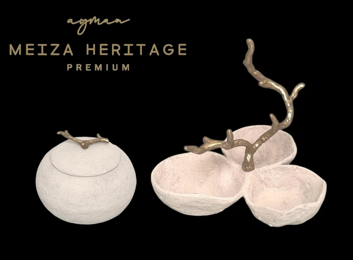 IMG-20250711-WA0035 (12)