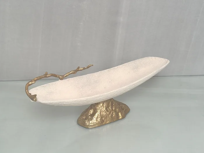 WhatsApp Image 2026-02-05 at 10.39.17.